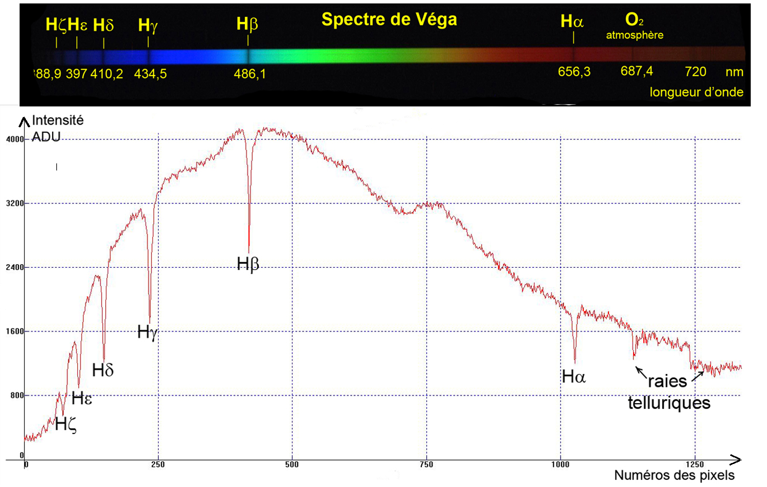 Spectre Vega